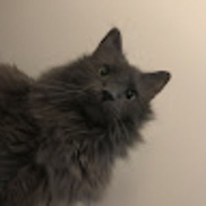 Meet your Posher, Kay